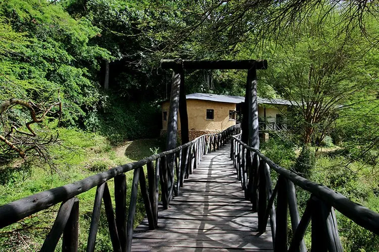 View along the completed Emakoko elevated timber walkway