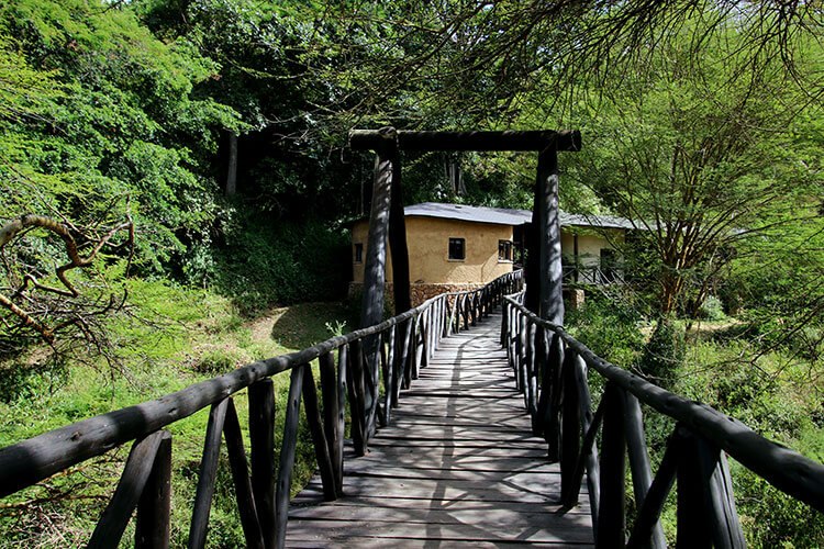 View along the completed Emakoko elevated timber walkway