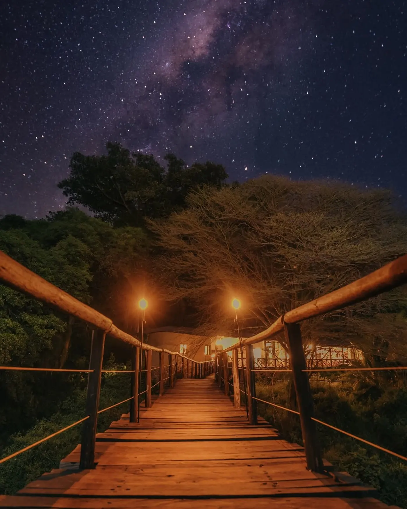The maintained Emakoko bridge illuminated beneath the night sky
