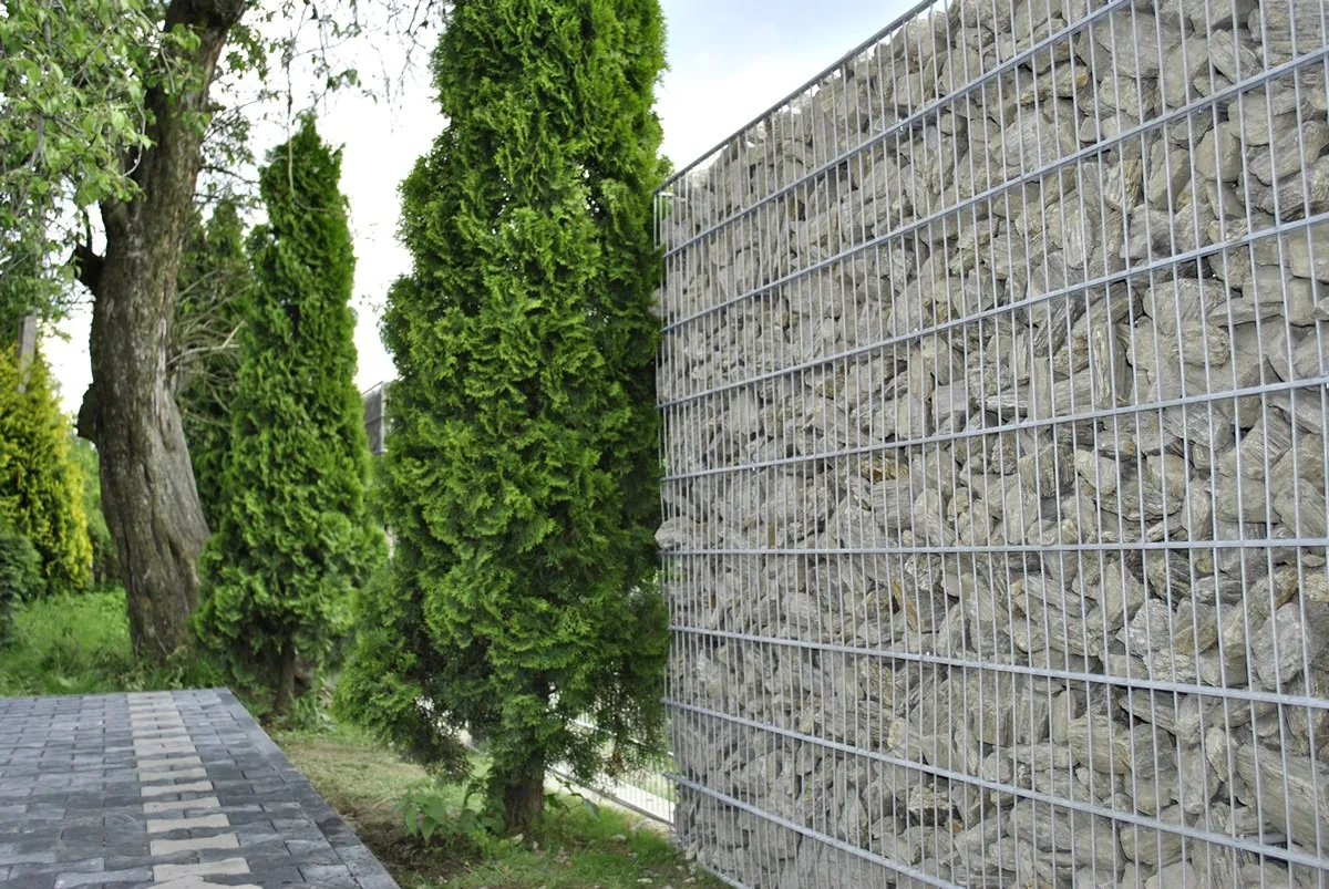 Gabion garden wall beside mature trees